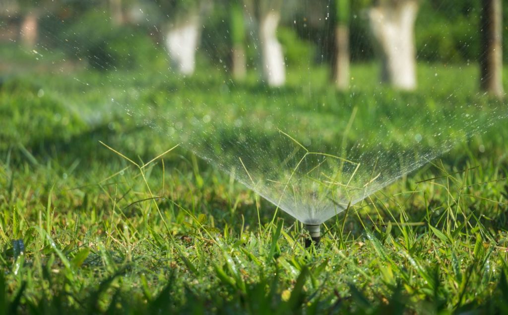 Installazione impianti di irrigazione a Viterbo